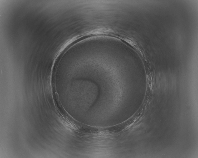 X0000057560196200509231208