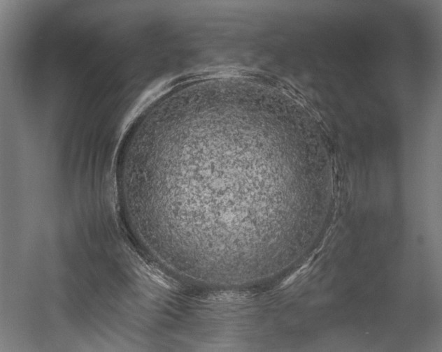 X0000057560198200509231208