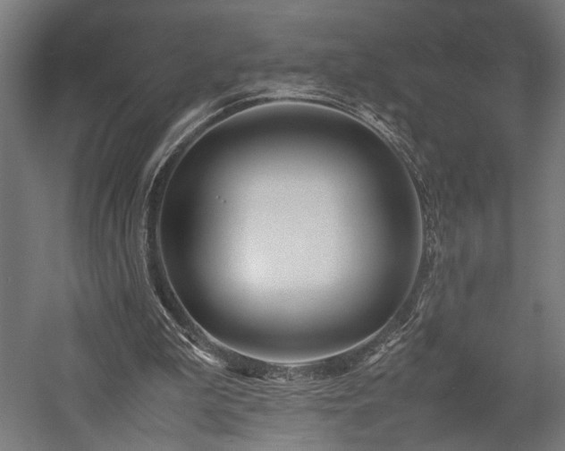 X0000057560199200509231208