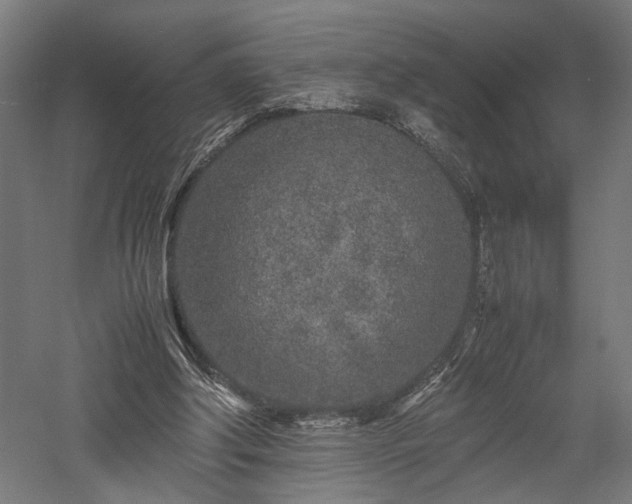 X0000057560202200509231208