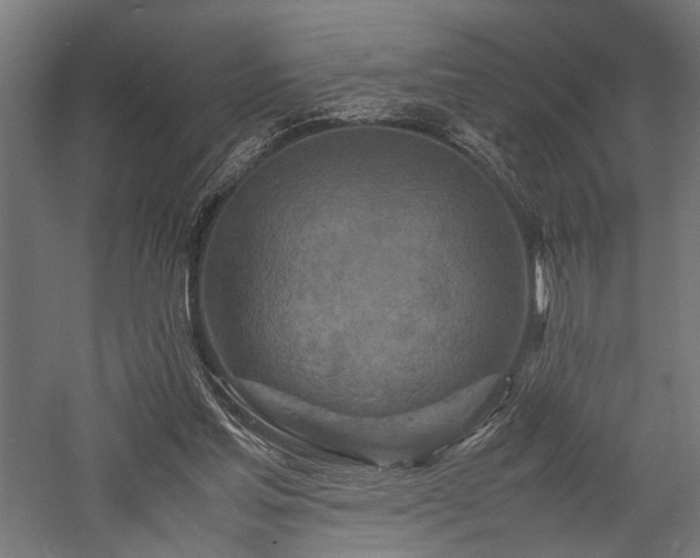 X0000057560205200509231208