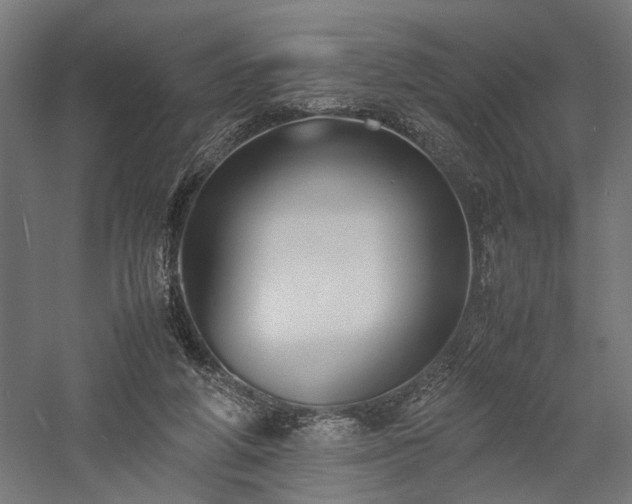 X0000057560210200509231208