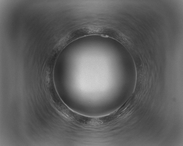 X0000057560215200509231208