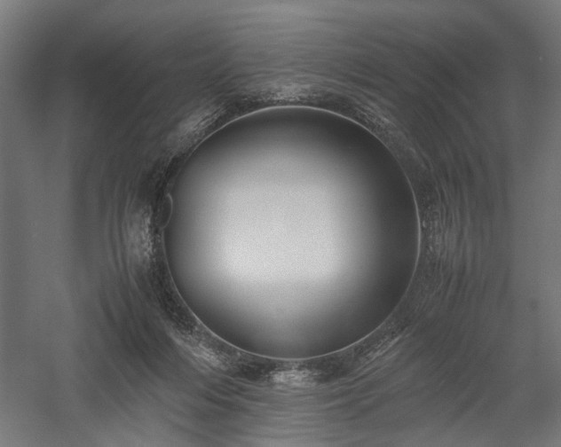 X0000057560216200509231208