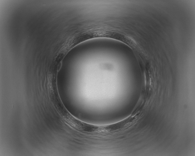 X0000057560217200509231208