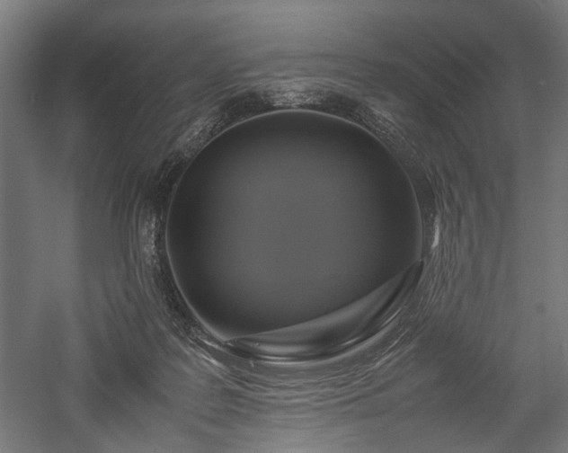 X0000057560219200509231208