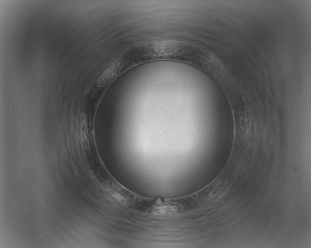 X0000057560220200509231208