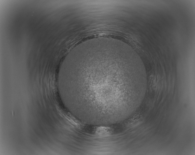 X0000057560222200509231208