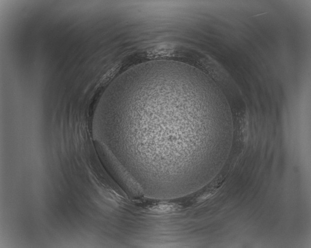 X0000057560224200509231208