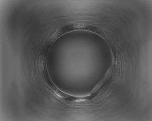 X0000057560227200509231208