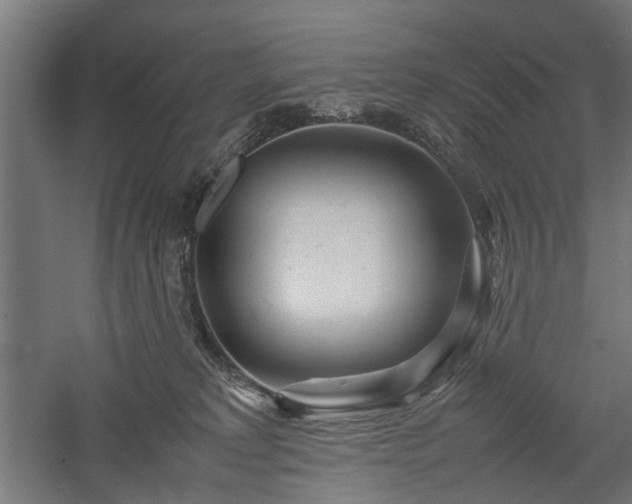 X0000057560229200509231207