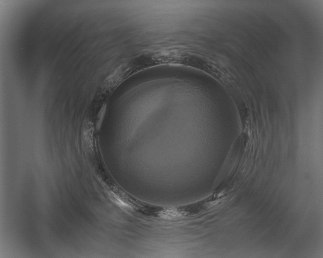 X0000057560231200509231207