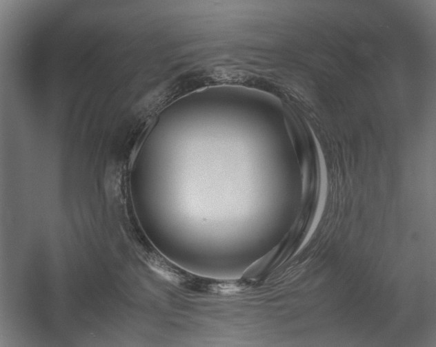 X0000057560233200509231207