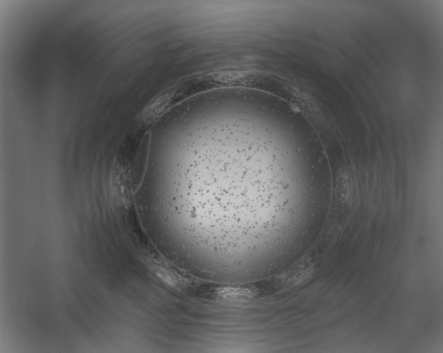 X0000057560234200509231207