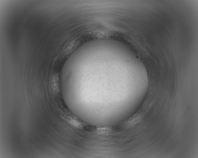 X0000057560240200509231207