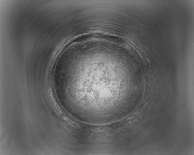 X0000057560241200509231206