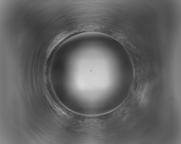 X0000057560242200509231206