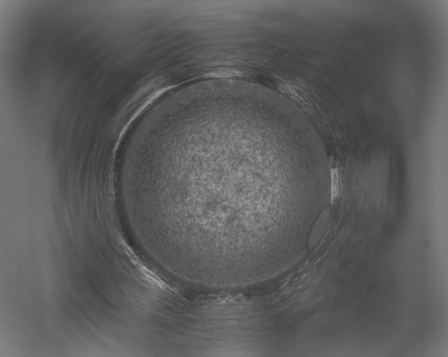 X0000057560243200509231206