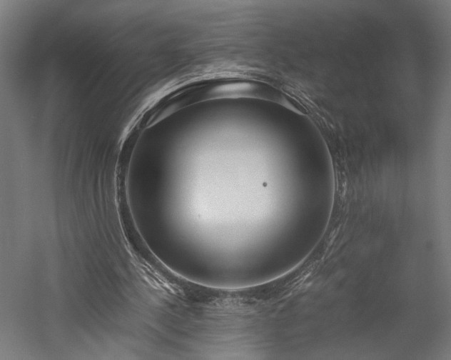 X0000057560244200509231207