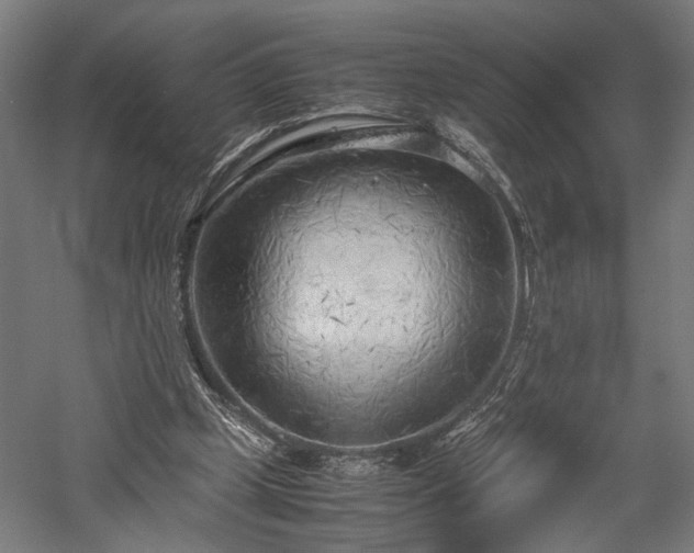 X0000057560249200509231207