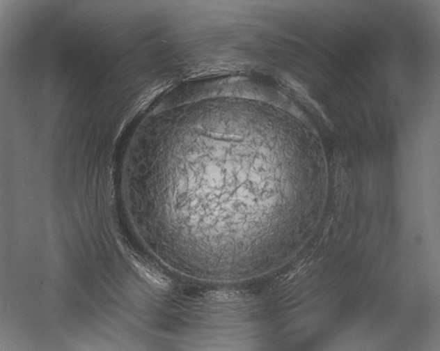 X0000057560250200509231207