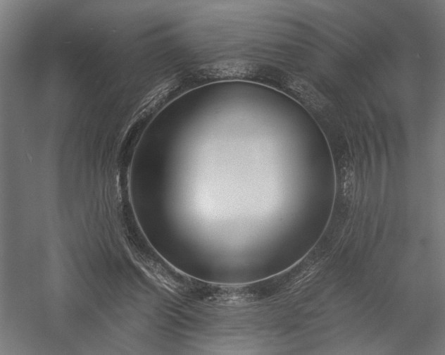 X0000057560254200509231207