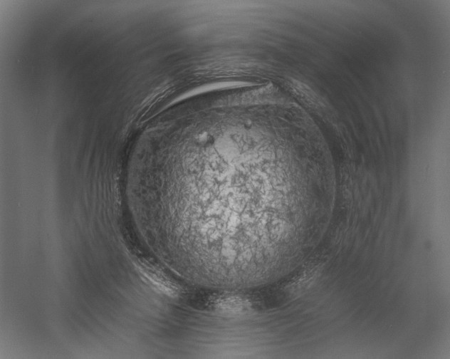 X0000057560258200509231207