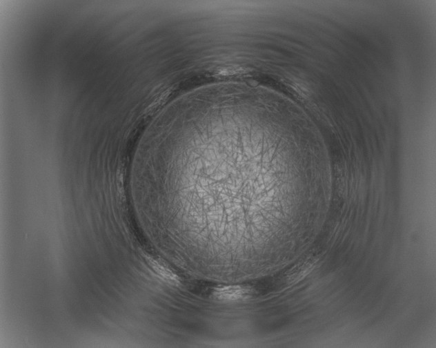 X0000057560269200509231207