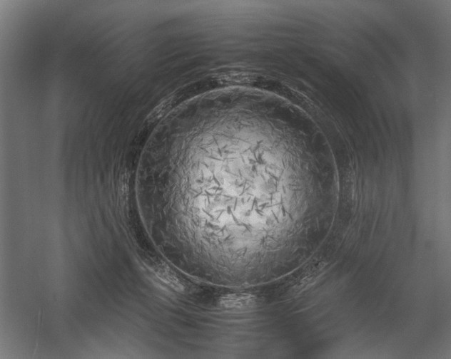 X0000057560271200509231207