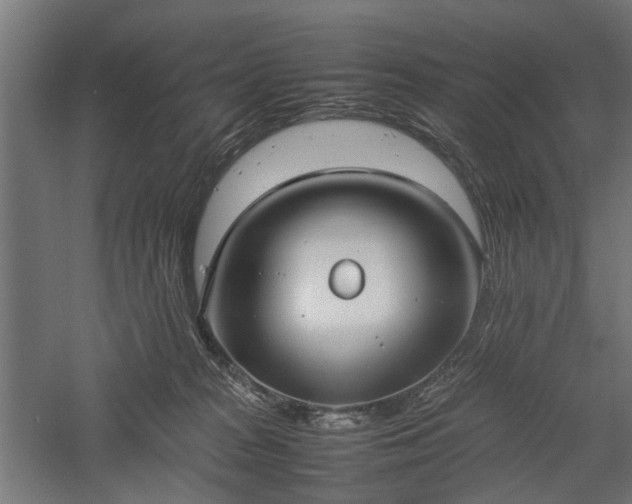 X0000057560277200509231207