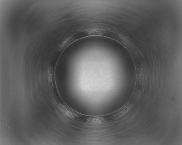 X0000057560282200509231207