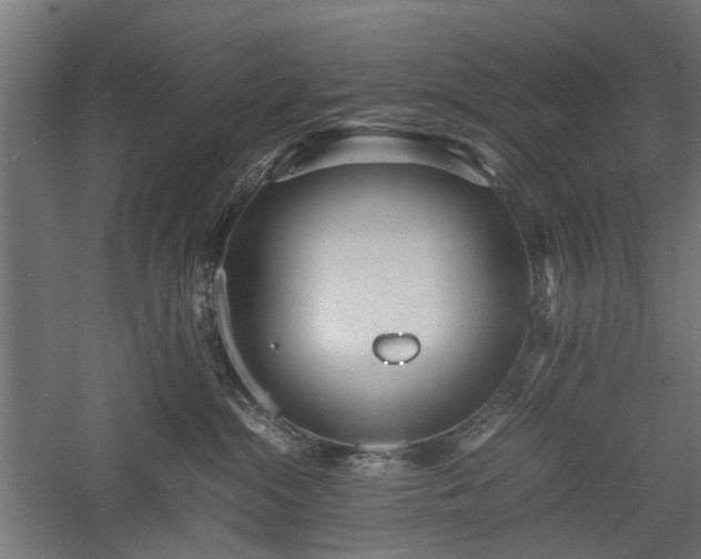 X0000057560284200509231207