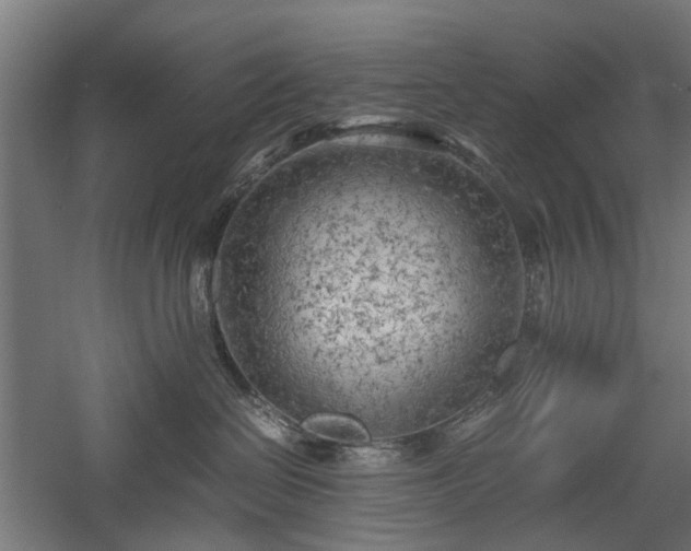 X0000057560286200509231207