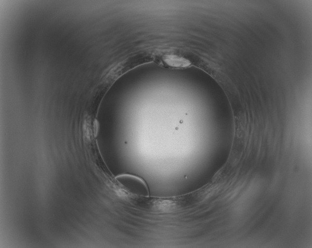 X0000057560287200509231207