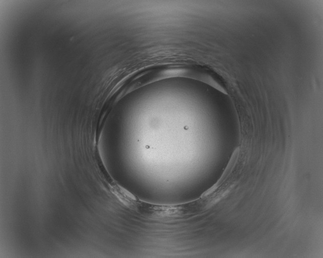 X0000057560288200509231207