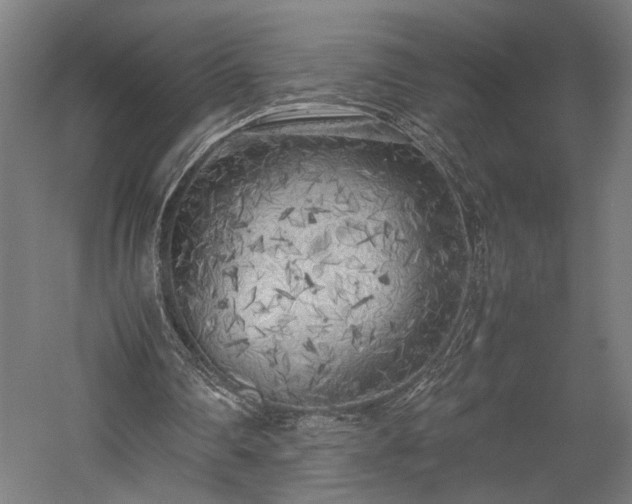 X0000057560290200509231206