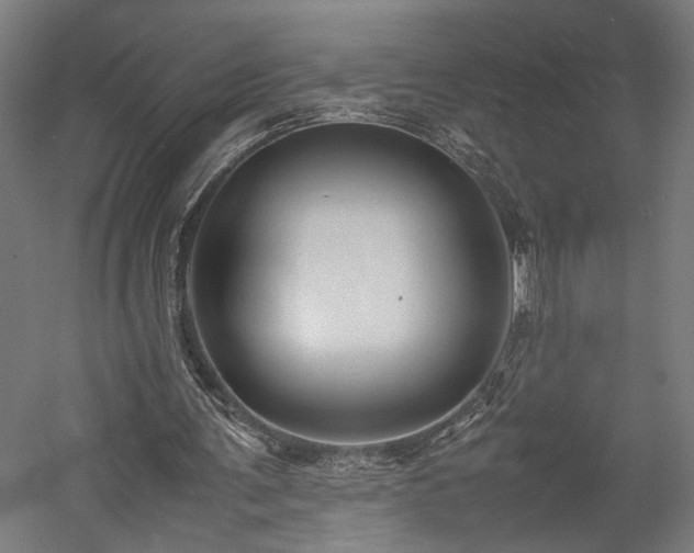 X0000057560291200509231206