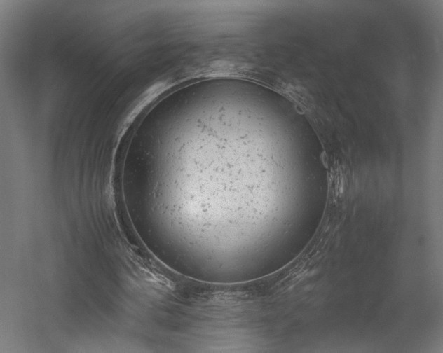 X0000057560292200509231206