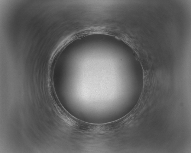 X0000057560293200509231206