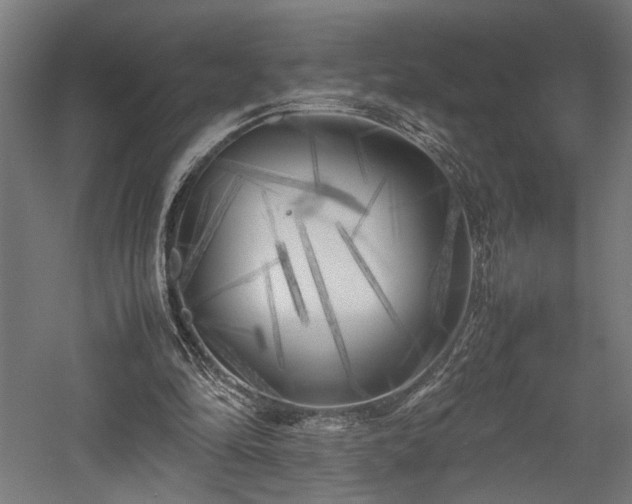 X0000057560294200509231206