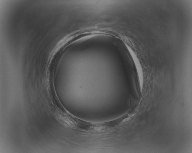 X0000057560295200509231206