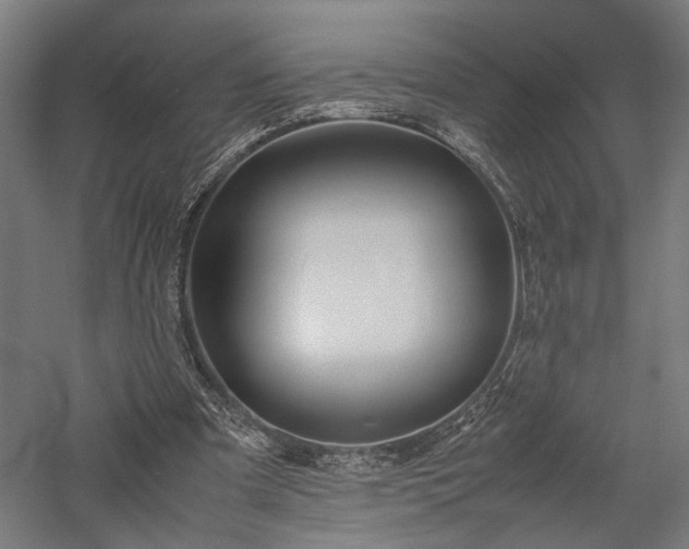 X0000057560297200509231206