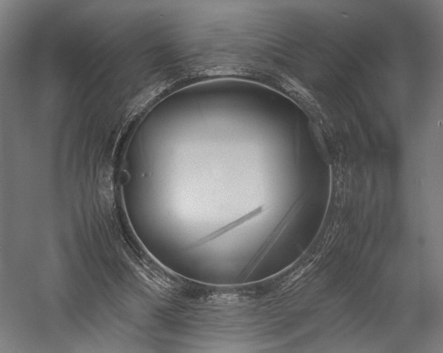 X0000057560298200509231206