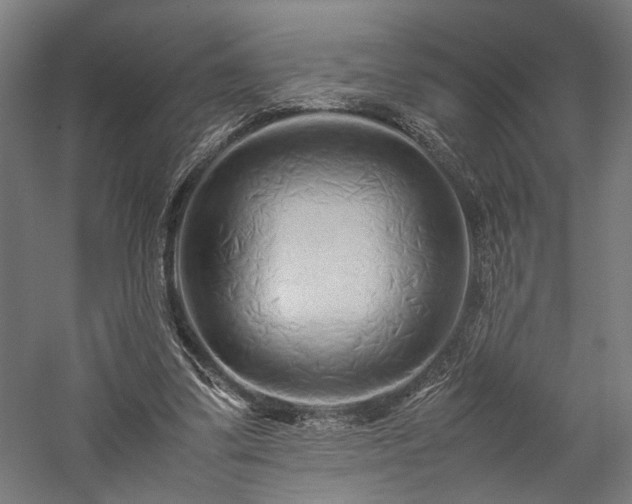 X0000057560299200509231206