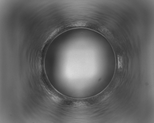 X0000057560300200509231206