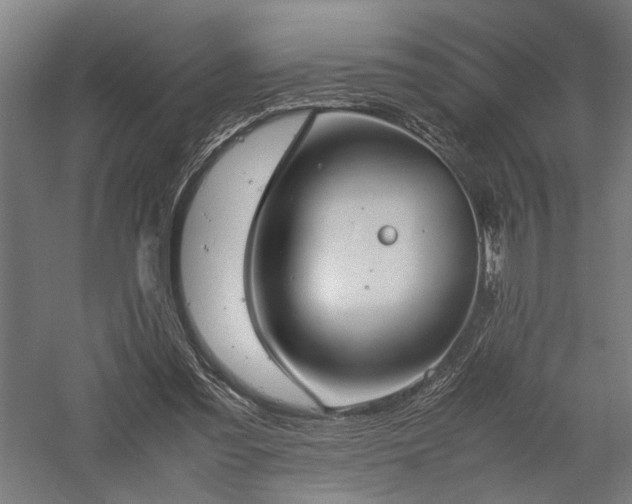 X0000057560301200509231206