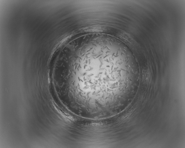 X0000057560302200509231206