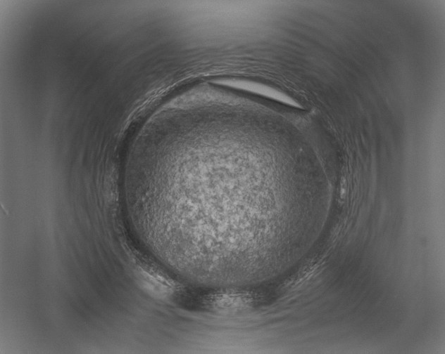 X0000057560303200509231206