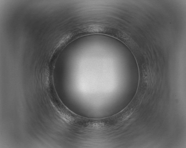 X0000057560304200509231206