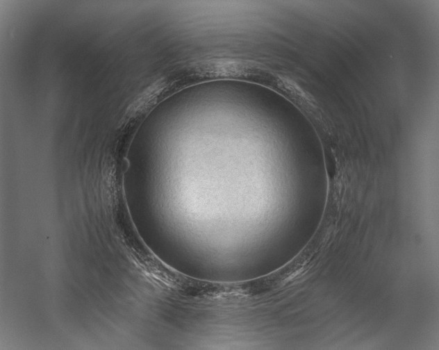 X0000057560306200509231206